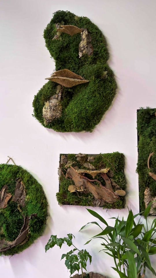 Post 4 by paige | reroot gardens on TikTok (video)