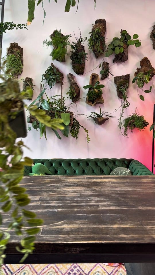 Post 10 by paige | reroot gardens on TikTok (video)