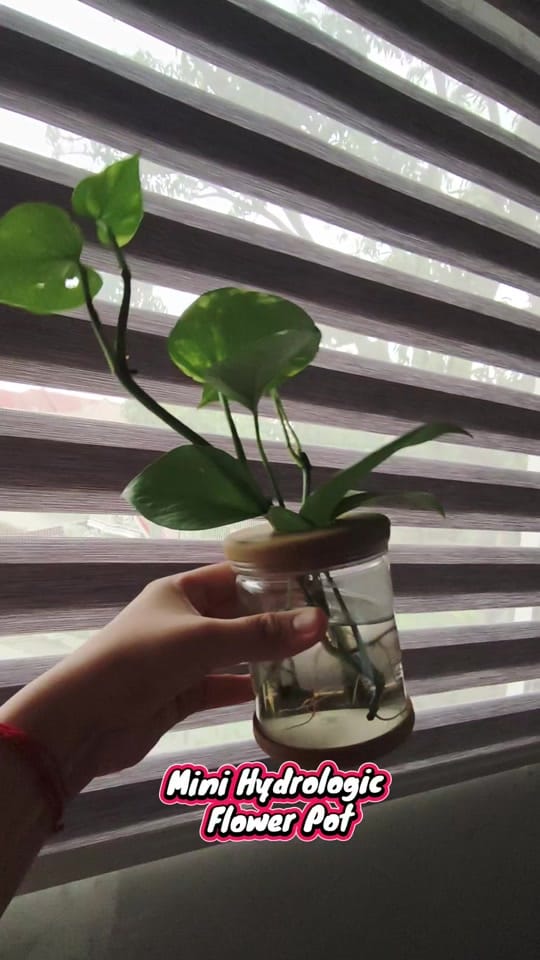 Post 3 by AP Creatives on TikTok (video)