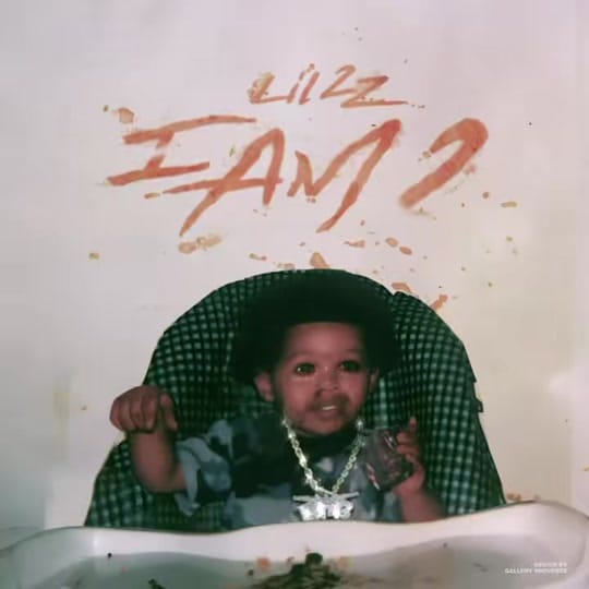 Post 6 by Lil 2z on TikTok (video)