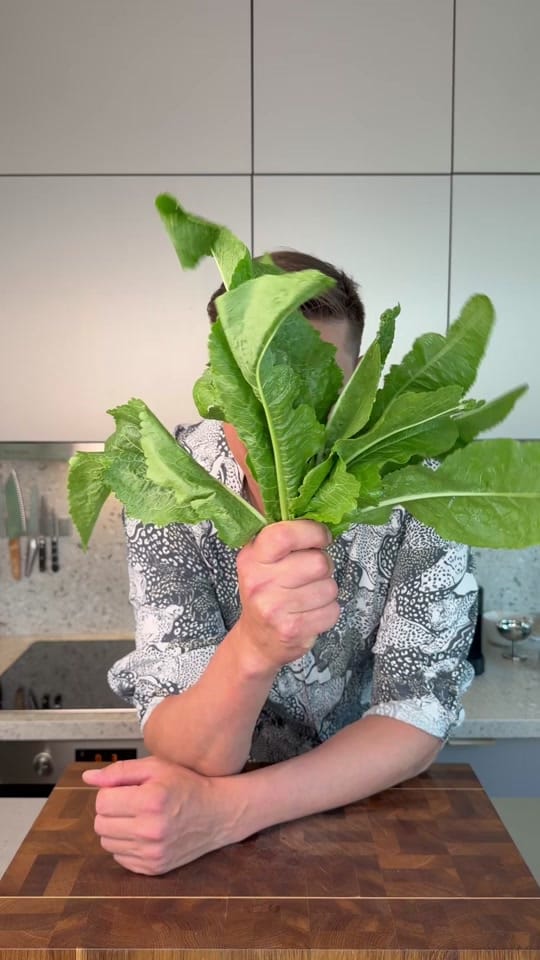 Post 2 by Anton on TikTok (video)