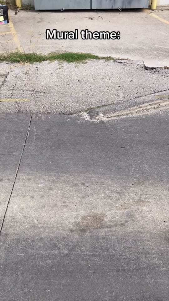 Post 10 by Catalina Zamarripa on TikTok (video)