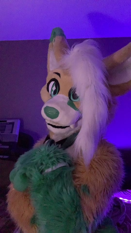 Post 1 by I CALLED DIBBS!! on TikTok (video)
