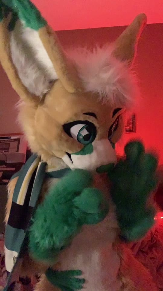 Post 2 by I CALLED DIBBS!! on TikTok (video)
