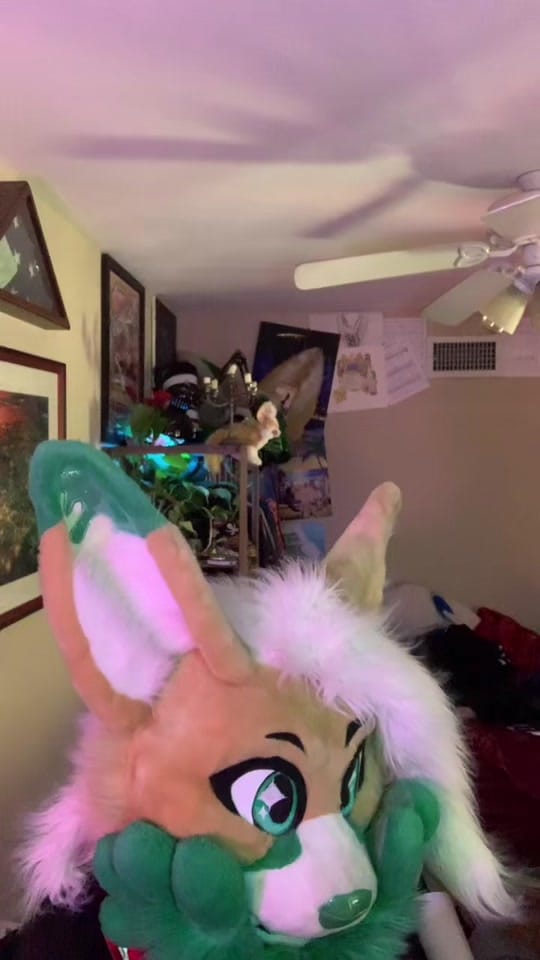 Post 6 by I CALLED DIBBS!! on TikTok (video)
