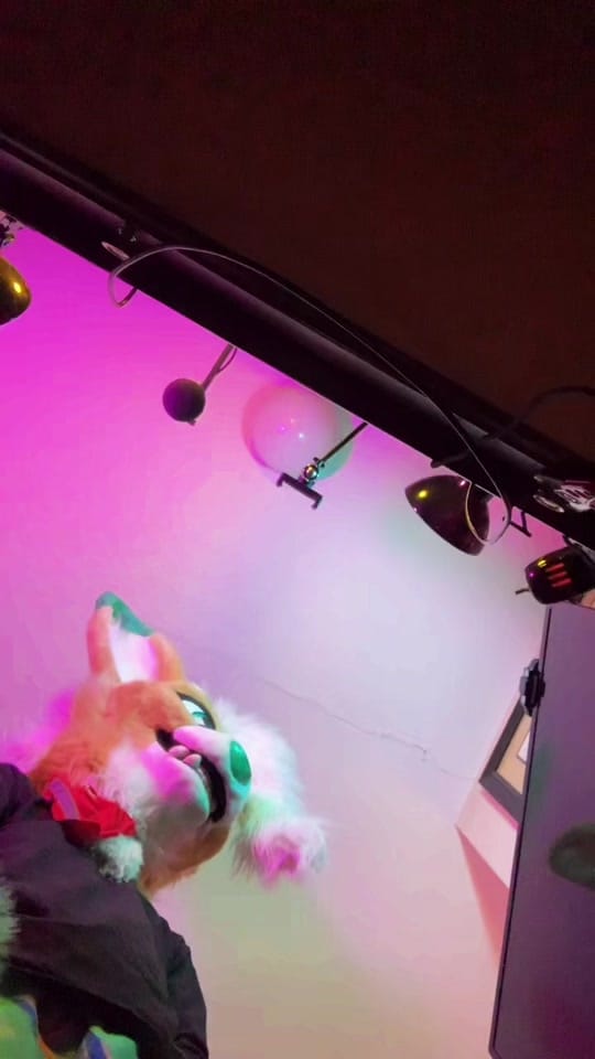 Post 8 by I CALLED DIBBS!! on TikTok (video)