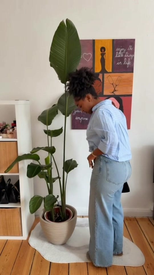 Post 4 by Ma-toutou🌼 on TikTok (video)