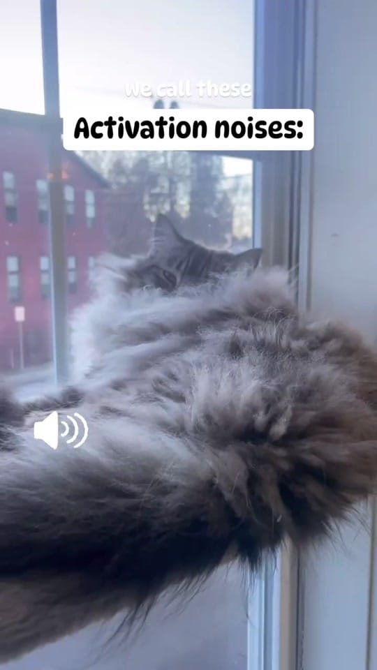 Post 2 by Capt OB on TikTok (video)