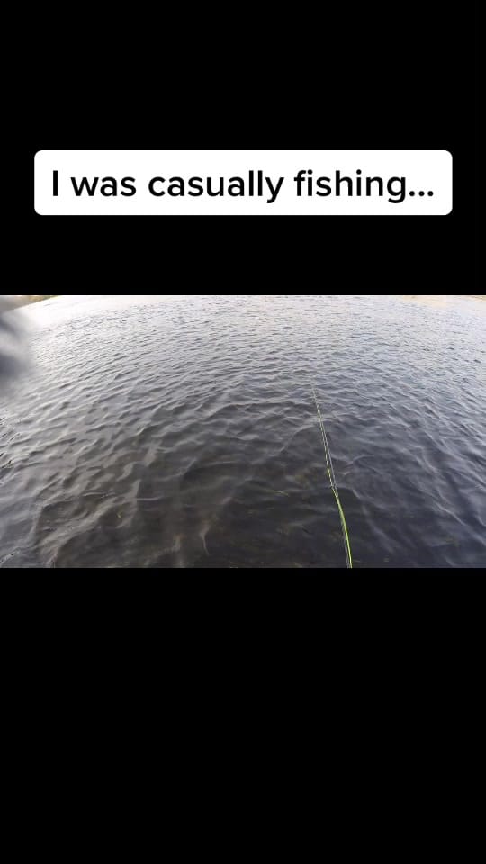 Post 1 by Matthew Wallace on TikTok (video)