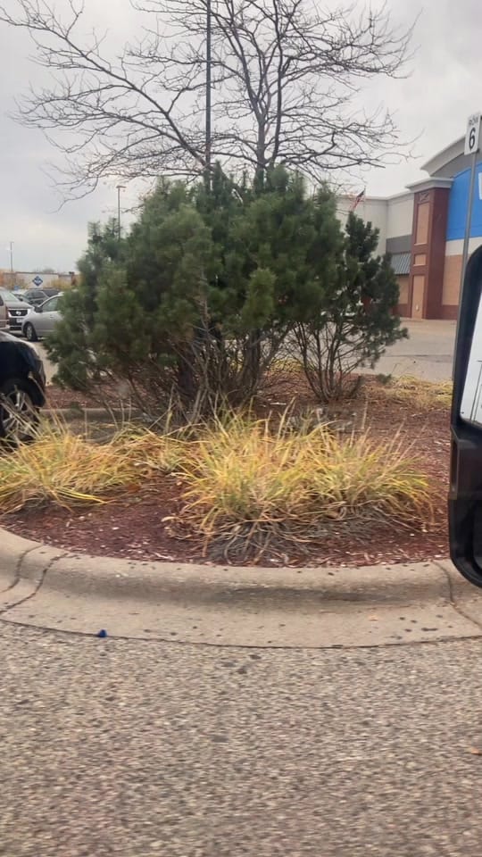 Post 3 by Matthew Wallace on TikTok (video)