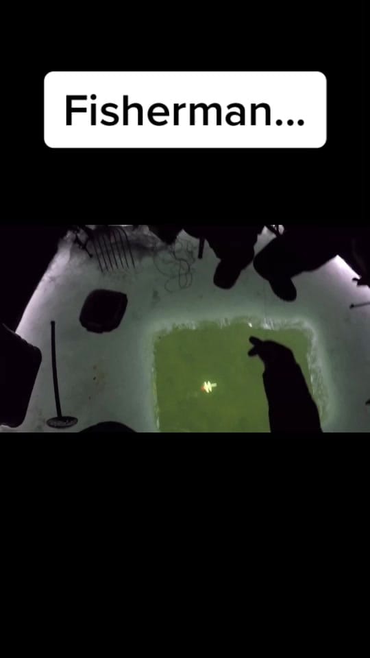 Post 6 by Matthew Wallace on TikTok (video)