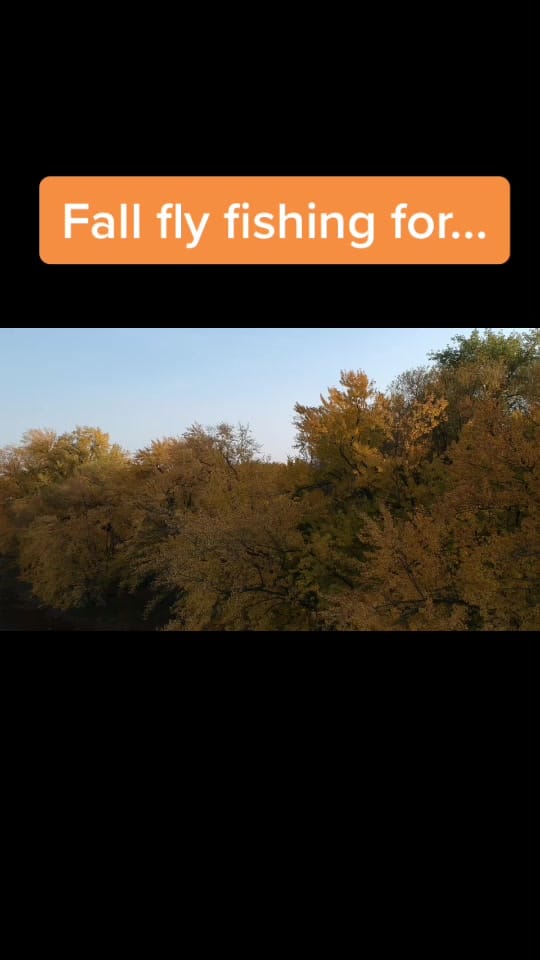 Post 2 by Matthew Wallace on TikTok (video)