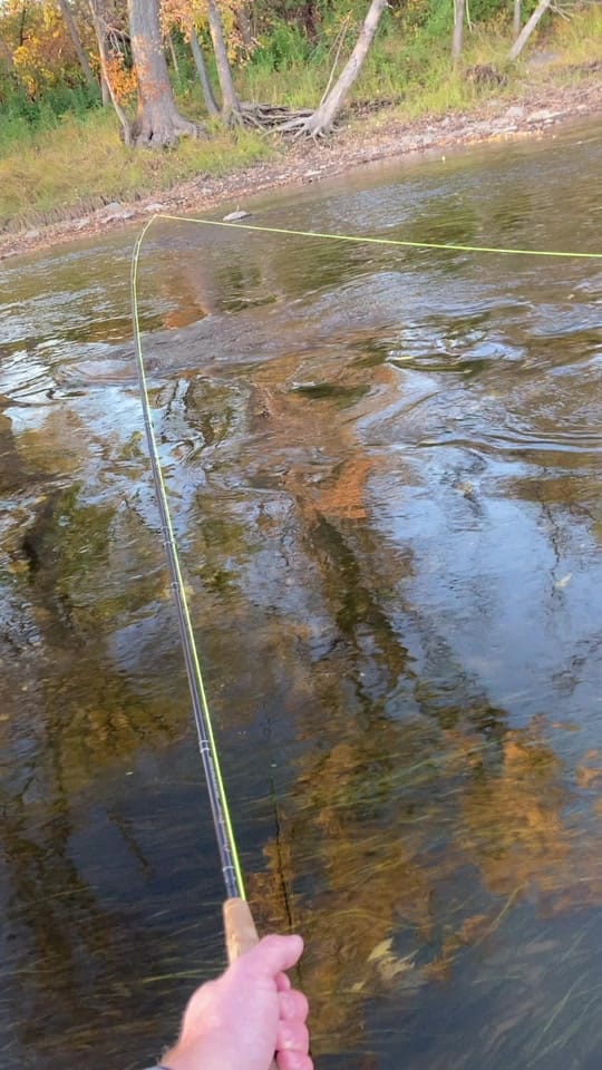 Post 5 by Matthew Wallace on TikTok (video)