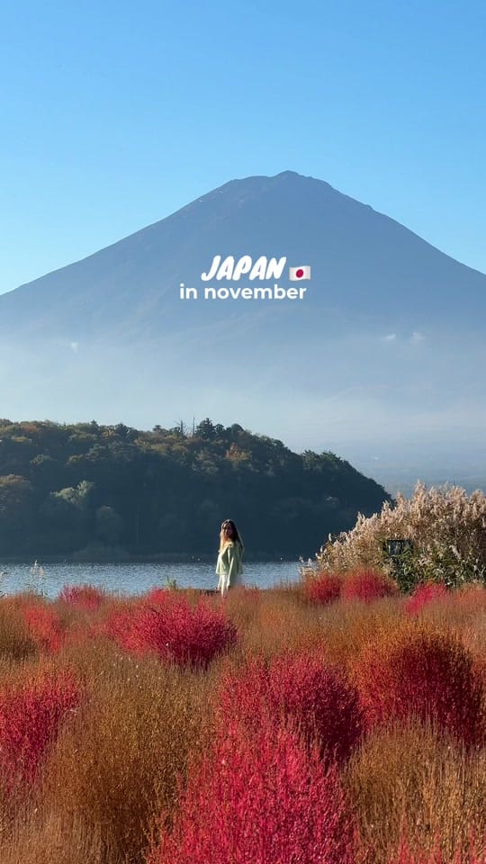 Post 3 by Paulina | Travel Tips & Inspo on TikTok (video)
