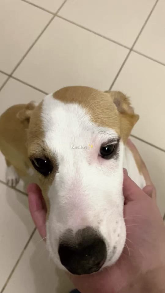 Post 2 by Jessenia on TikTok (video)