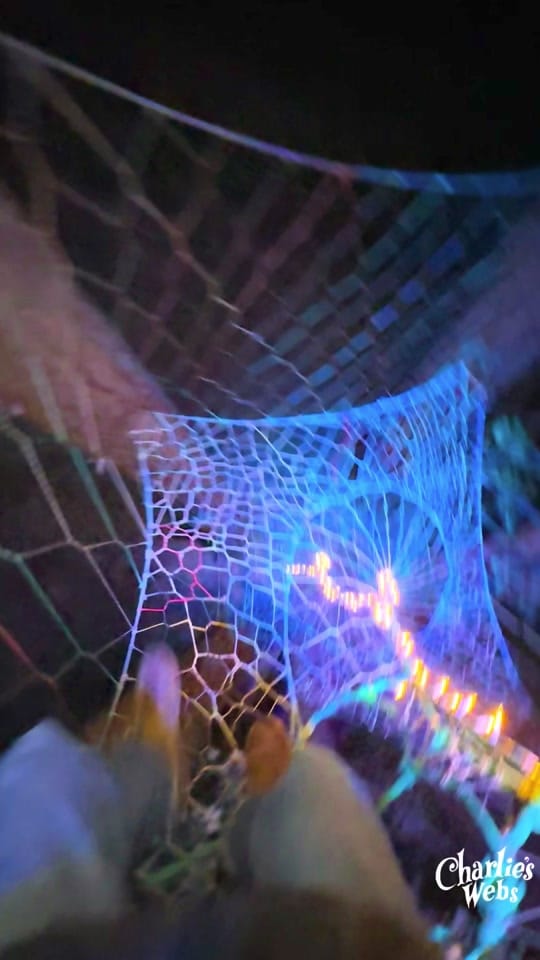Post 1 by Charlies Webs on TikTok (video)