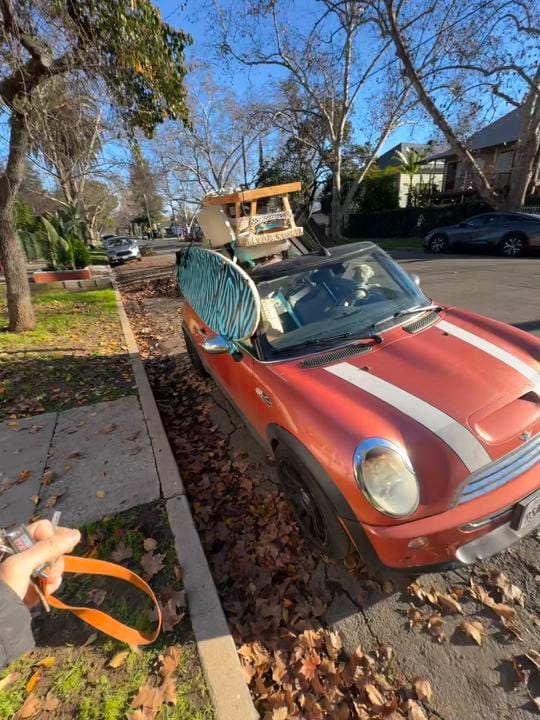 Post 7 by Charlies Webs on TikTok (video)