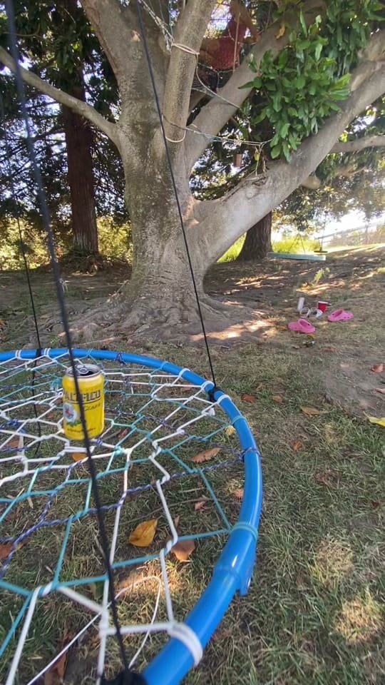 Post 9 by Charlies Webs on TikTok (video)