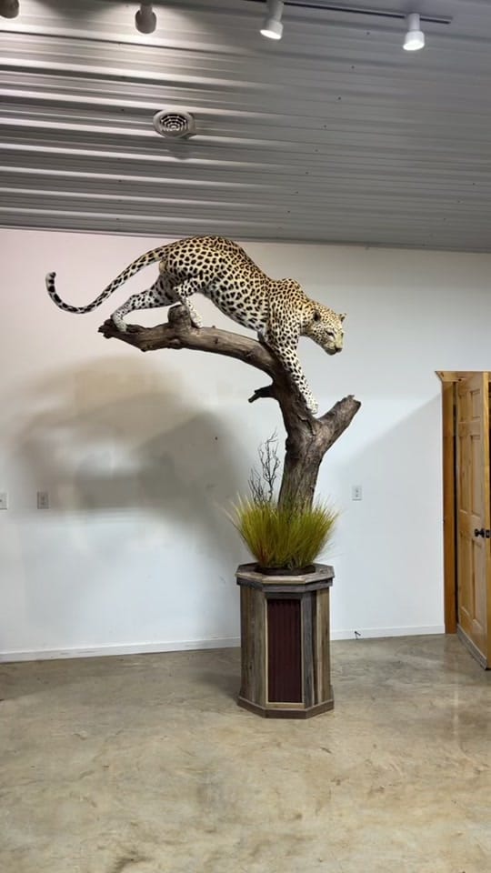 Post 3 by Nathan Wilson on TikTok (video)