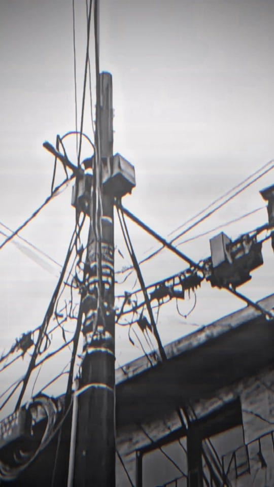 Post 6 by 𝘵𝘦𝘢𝘮𝘣𝘳𝘢𝘢𝘮𝘶𝘴𝘪𝘬 on TikTok (video)