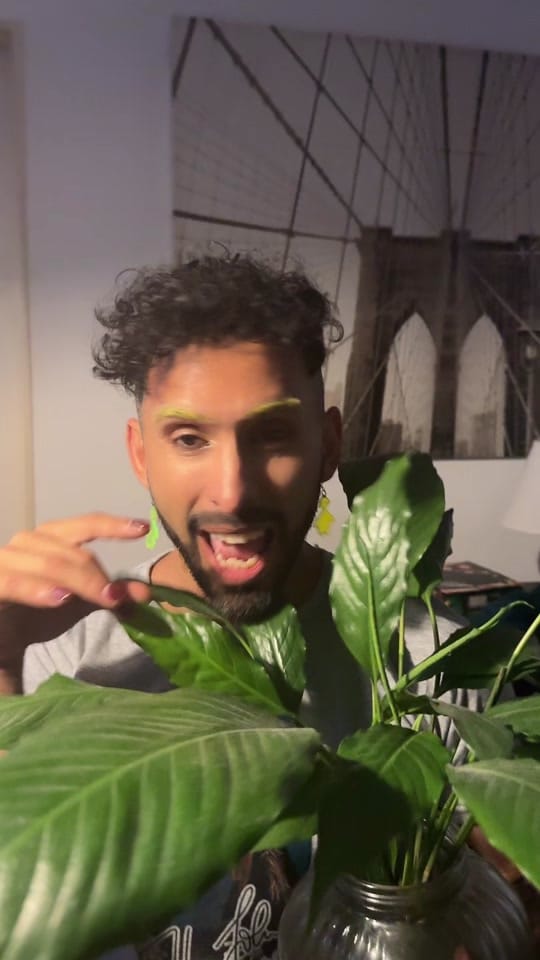 Post 4 by Gabo Usandivaras on TikTok (video)