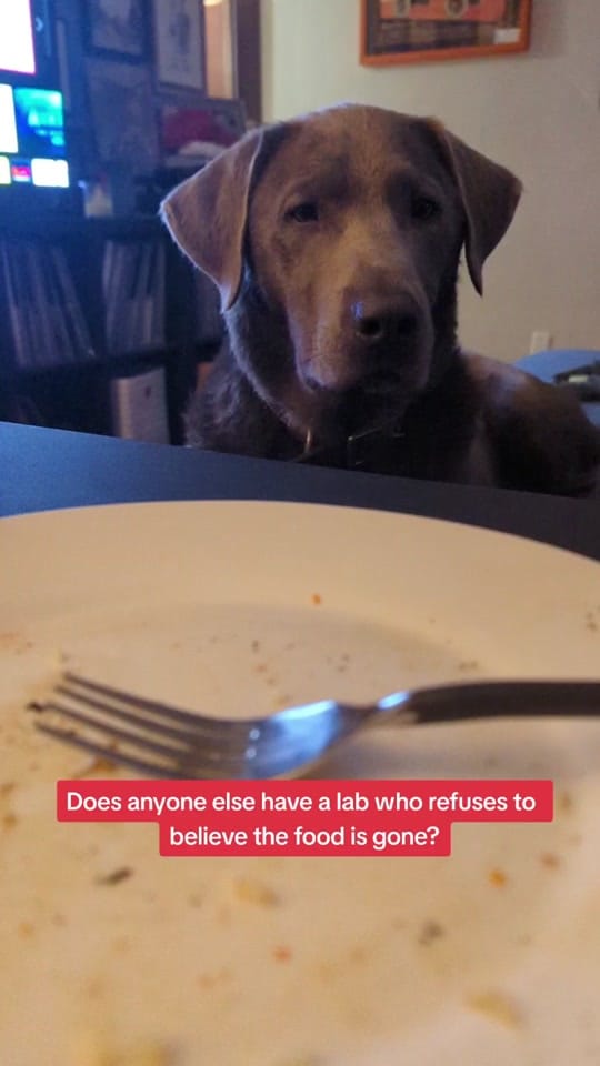 Post 7 by Moriginal on TikTok (video)