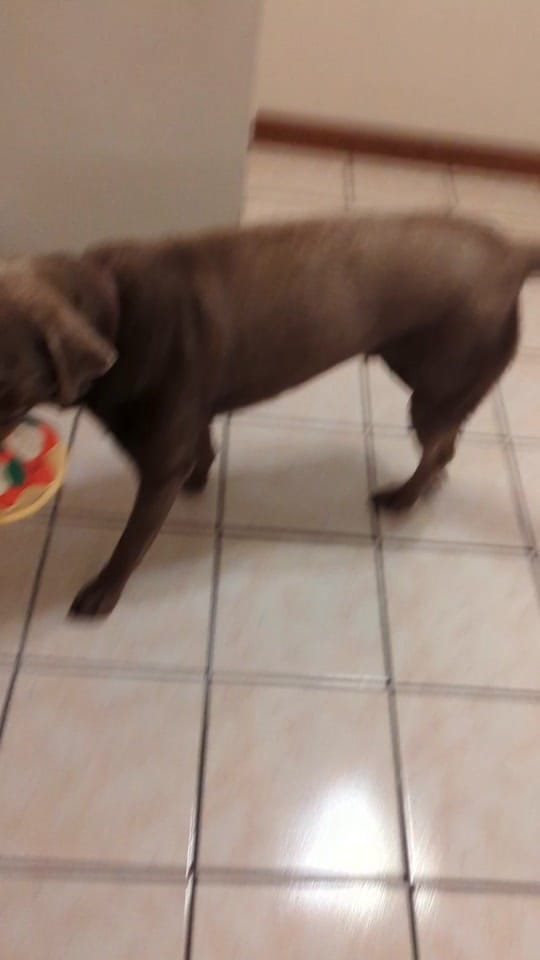 Post 6 by Moriginal on TikTok (video)