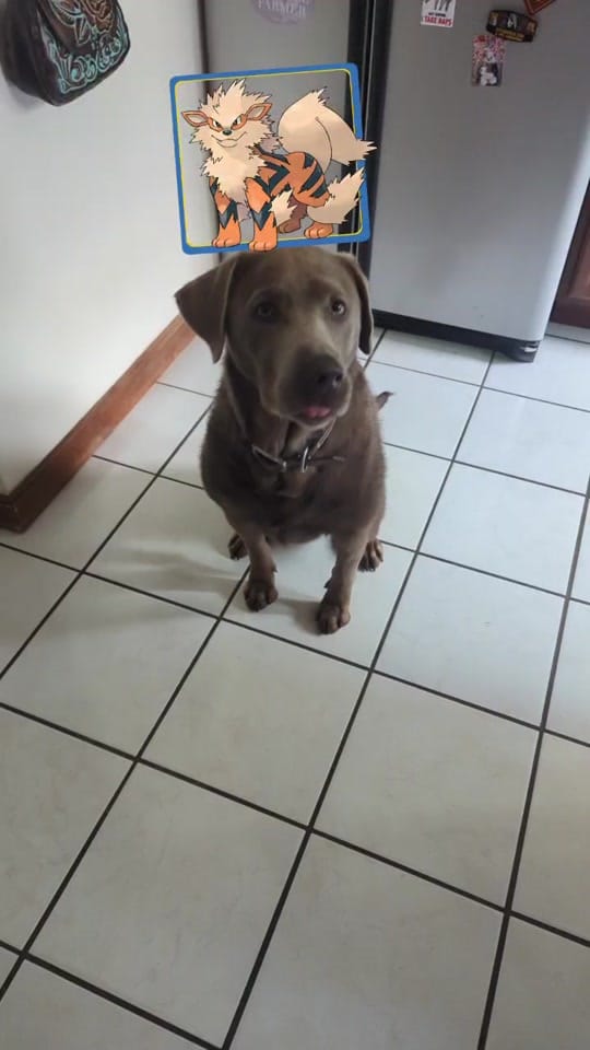 Post 9 by Moriginal on TikTok (video)