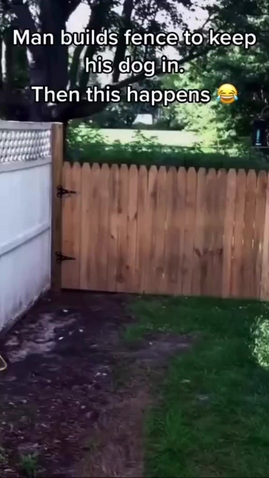 Post 10 by Miami Vybe 305 on TikTok (video)
