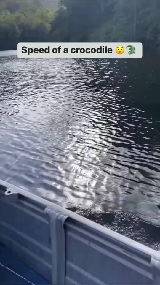 Post 8 by Miami Vybe 305 on TikTok (video)