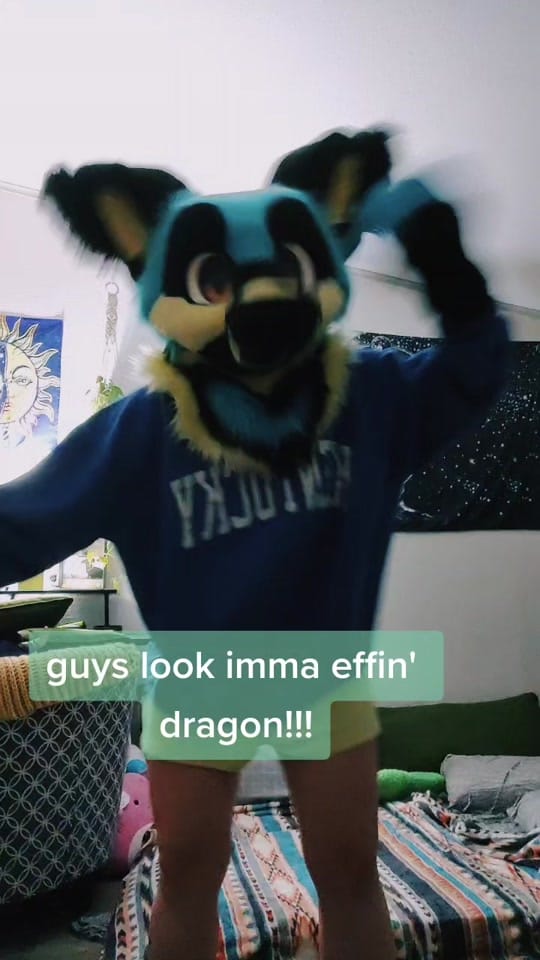 Post 4 by Pickles🔜Nashum on TikTok (video)
