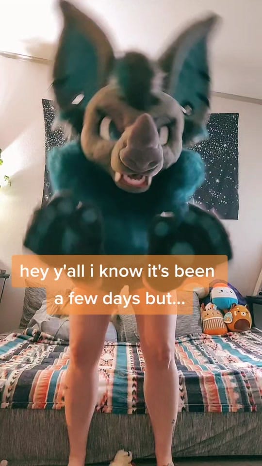 Post 5 by Pickles🔜Nashum on TikTok (video)