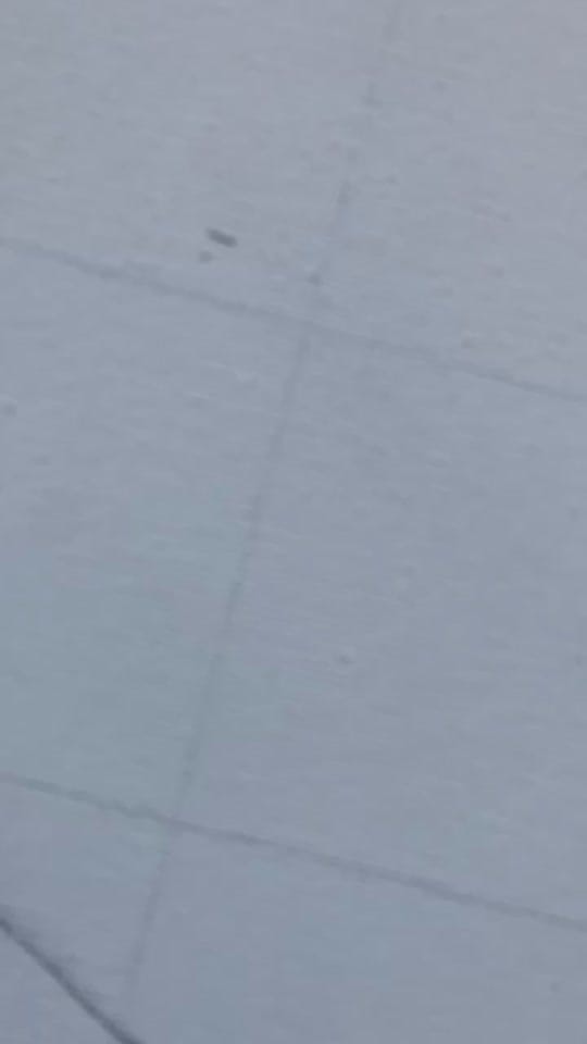 Post 3 by Kyra Taylor on TikTok (video)