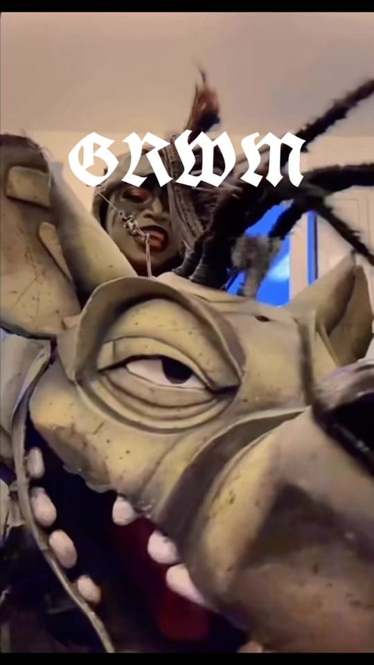 Post 8 by Shenzi on TikTok (video)