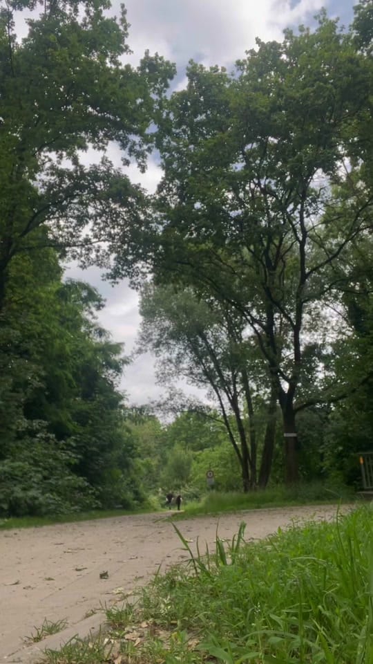 Post 1 by 𝑹𝒊𝒏𝒋𝒂 on TikTok (video)