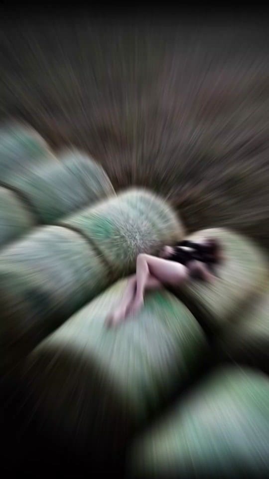 Post 10 by Zeitlos_fotografie_mv on TikTok (video)