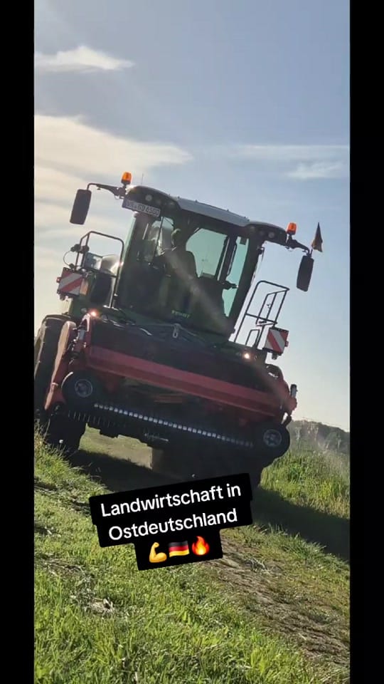 Post 5 by Zeitlos_fotografie_mv on TikTok (video)