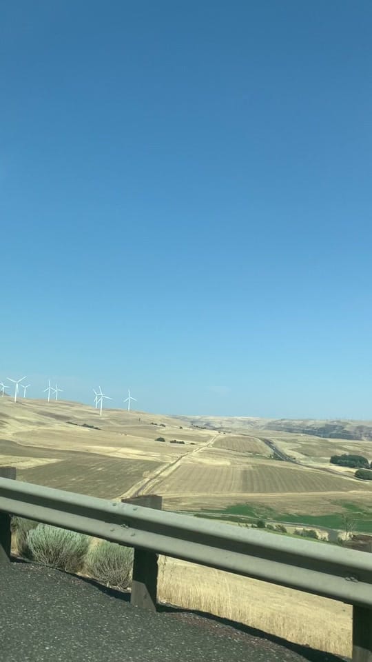 Post 6 by CentralOregonTextiles on TikTok (video)