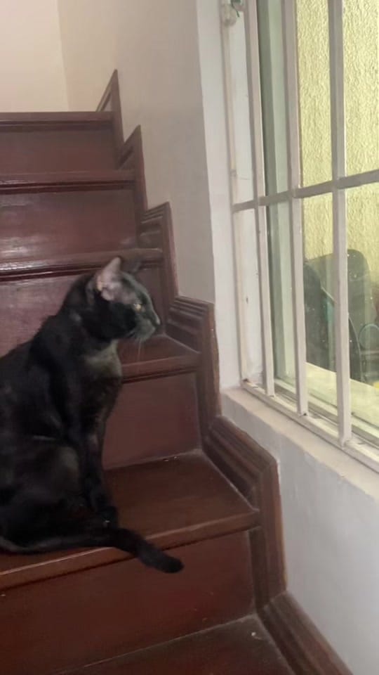 Post 5 by Nanay Bibing at Paraluman on TikTok (video)