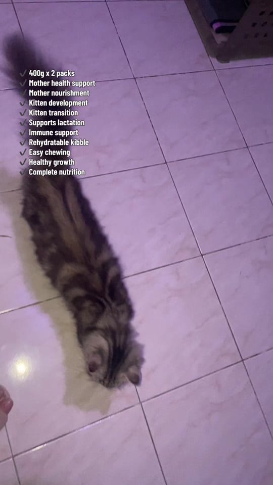 Post 6 by Nanay Bibing at Paraluman on TikTok (video)