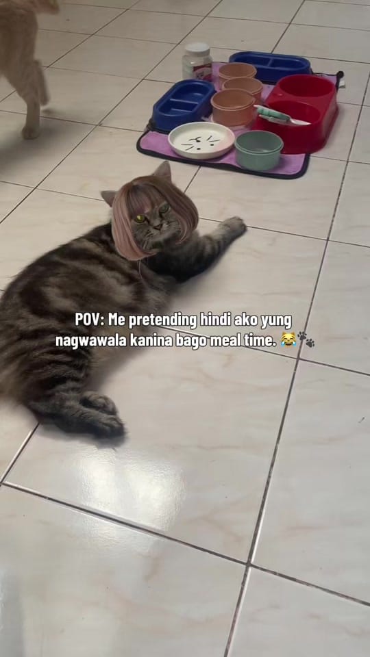 Post 7 by Nanay Bibing at Paraluman on TikTok (video)