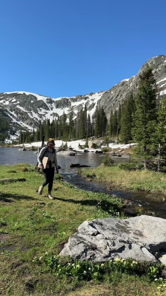 Post 3 by Essentially Streaming on TikTok (video)