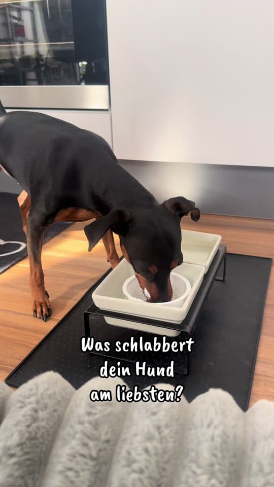 Post 5 by diana.vegas23 on TikTok (video)