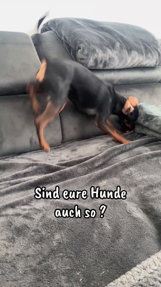 Post 3 by diana.vegas23 on TikTok (video)