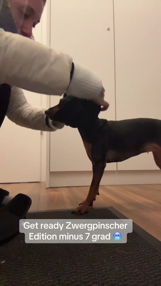 Post 9 by diana.vegas23 on TikTok (video)
