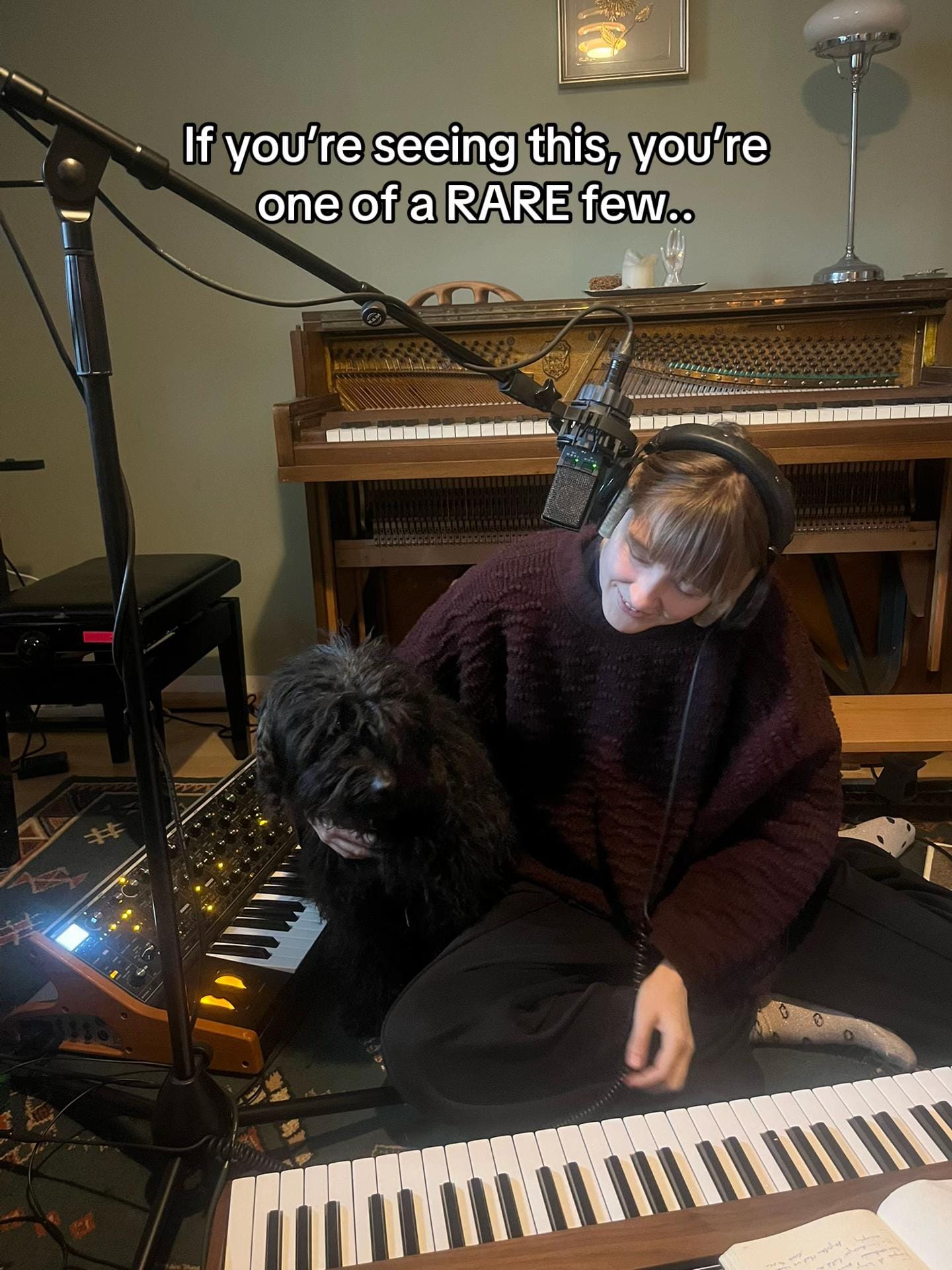 Post 4 by Tara Nome Doyle on TikTok (video)