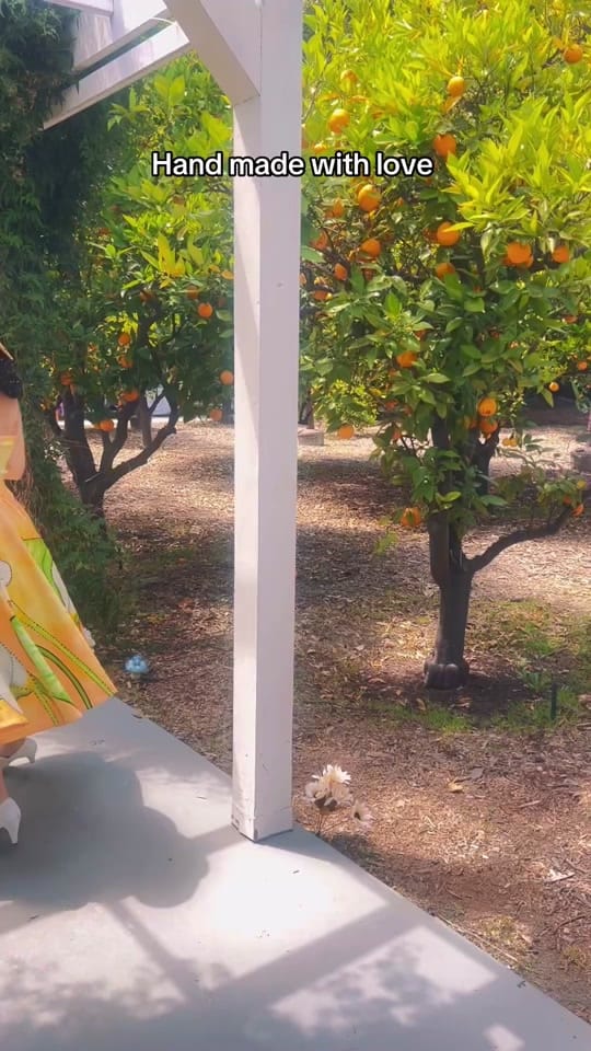 Post 6 by Jenny Dame on TikTok (video)