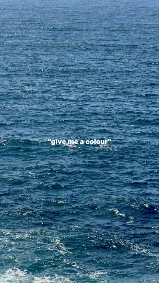 Post 1 by luisa on TikTok (video)
