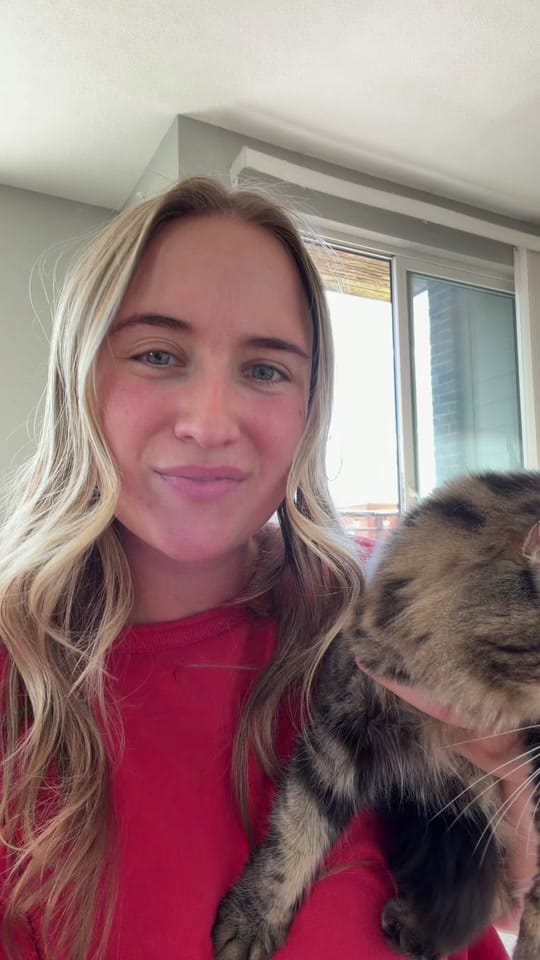 Post 6 by laurenalexanderdesigns on TikTok (video)