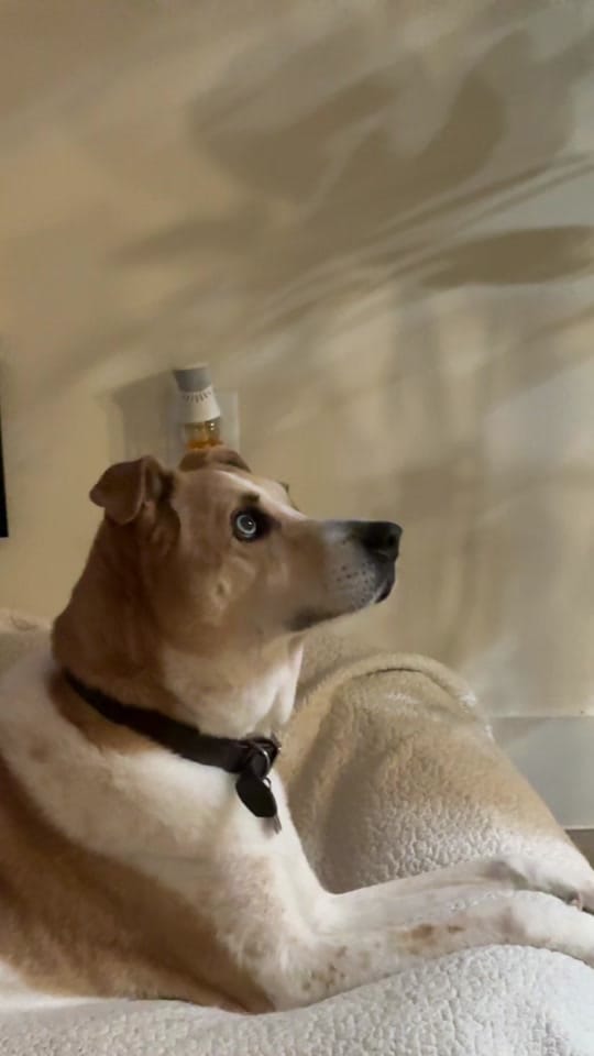 Post 4 by Janeth Dominguez on TikTok (video)